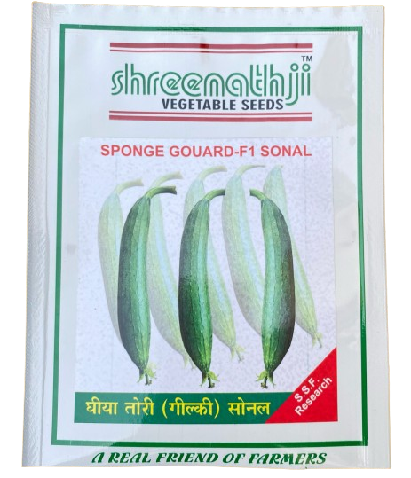 ગલ્કા સોનલ